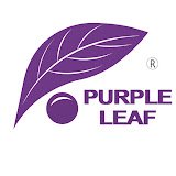 Purple Leaf (US)
